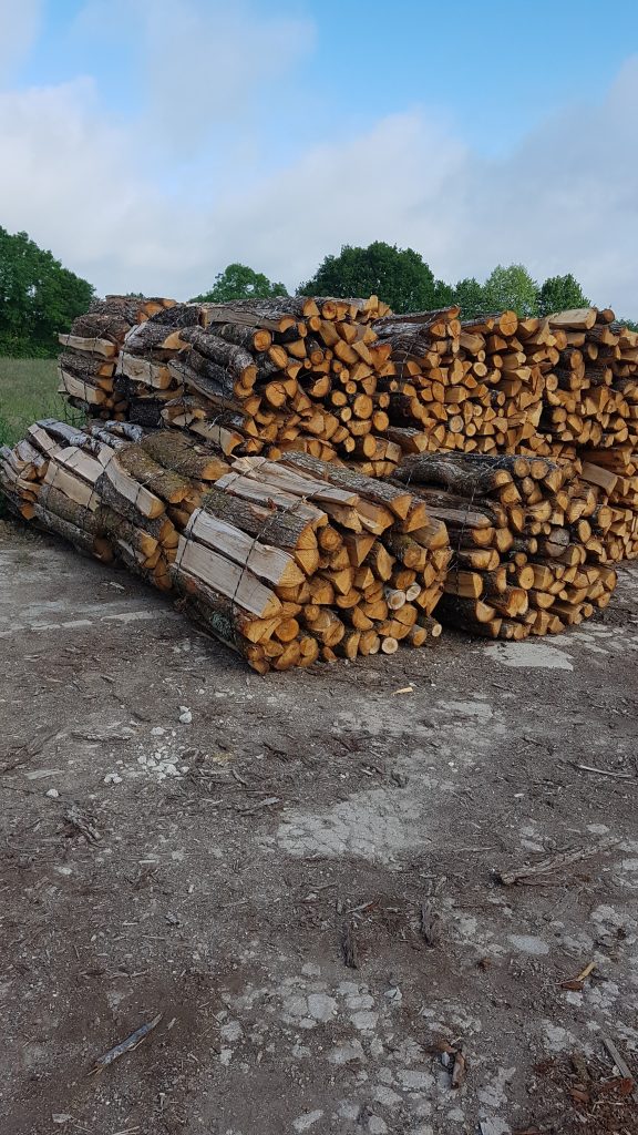 Bois_de_Chauffage_Fagot