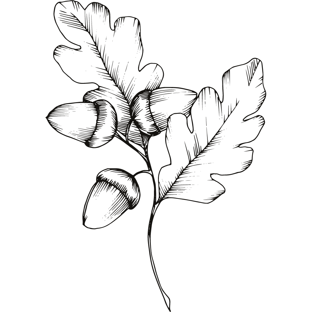 Feuille_Chêne_SARL_Erinabonneau