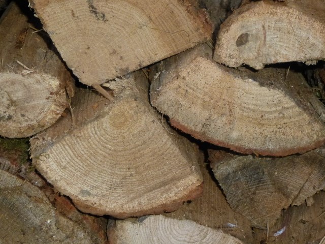 Bois_de_Chauffage_SARL_Erinabonneau